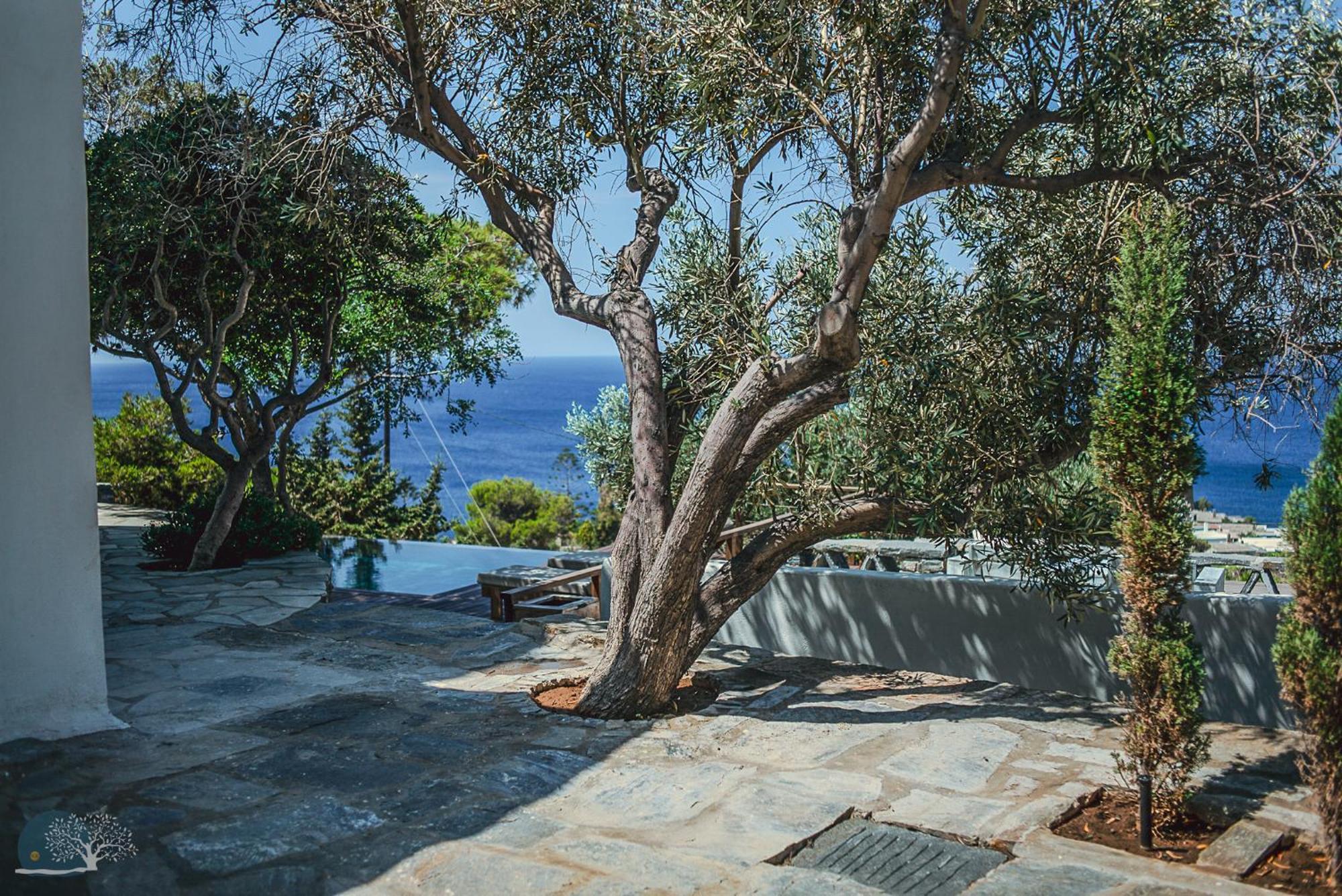 Zen Blue Mills Bed and Breakfast Κούνδουρος Εξωτερικό φωτογραφία