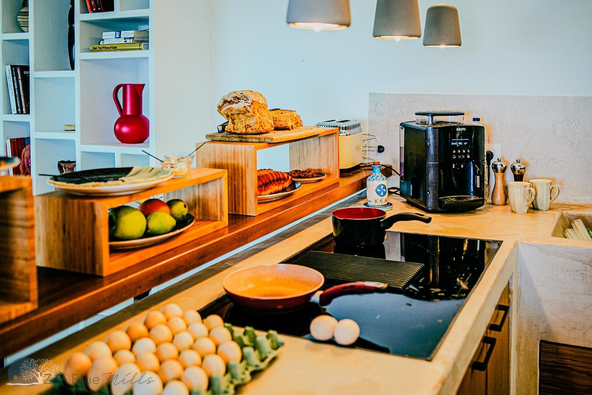 Zen Blue Mills Bed and Breakfast Κούνδουρος Εξωτερικό φωτογραφία