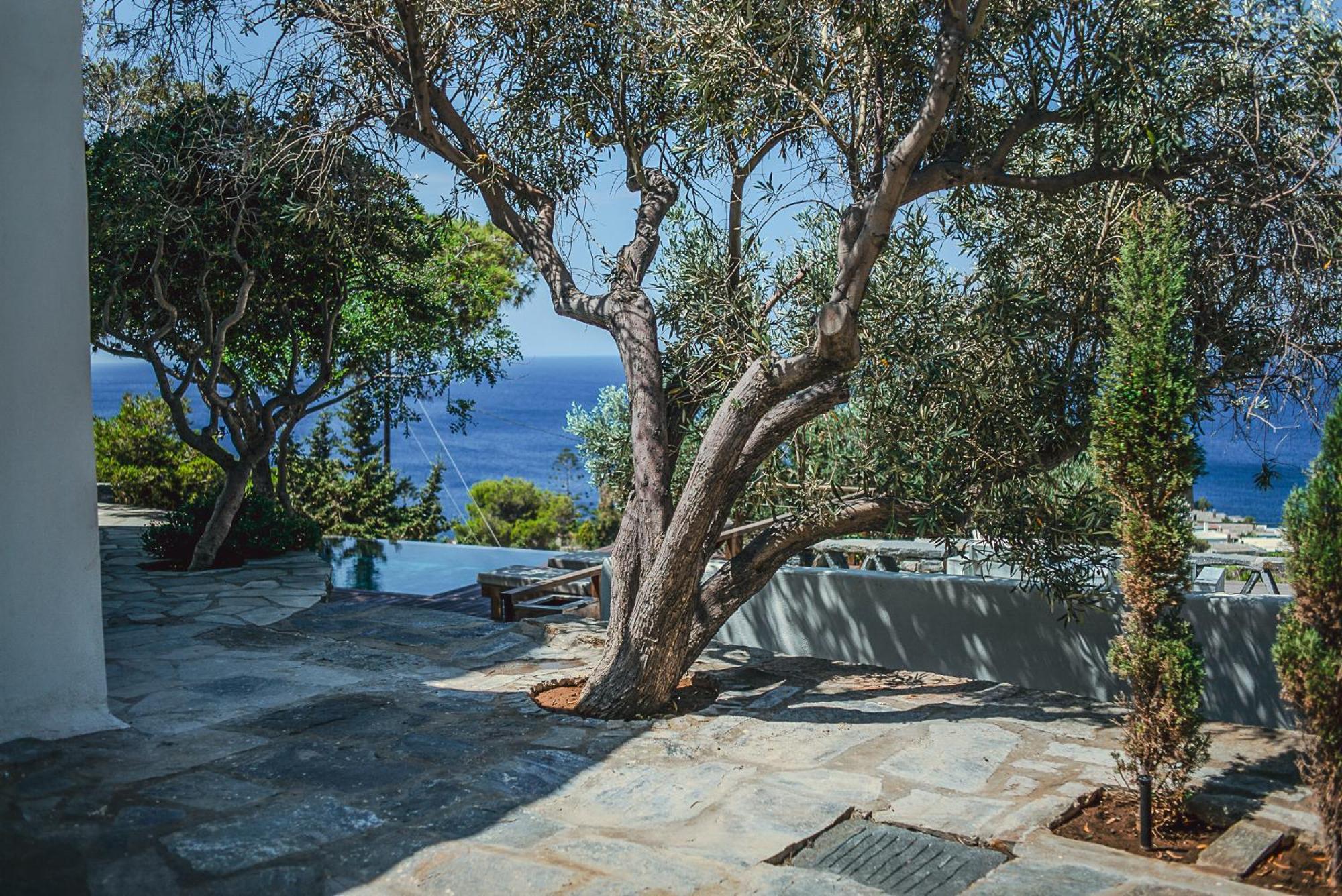 Zen Blue Mills Bed and Breakfast Κούνδουρος Εξωτερικό φωτογραφία